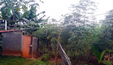 WhatsApp Image 2023-08-23 at 10.53.29 AM 1.png